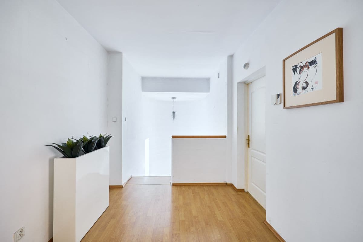 Unique home suitable for medical or other business – 9