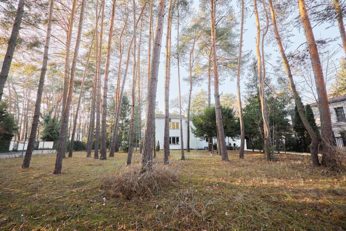 Unique home suitable for medical or other business – 14
