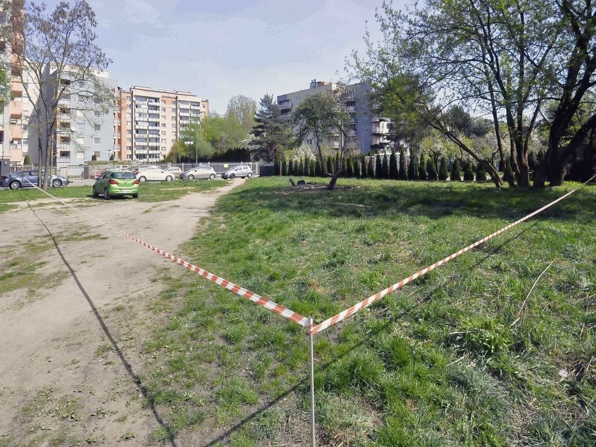 Строительный участок в зелёной зоне, 9,5 км от центра – 6