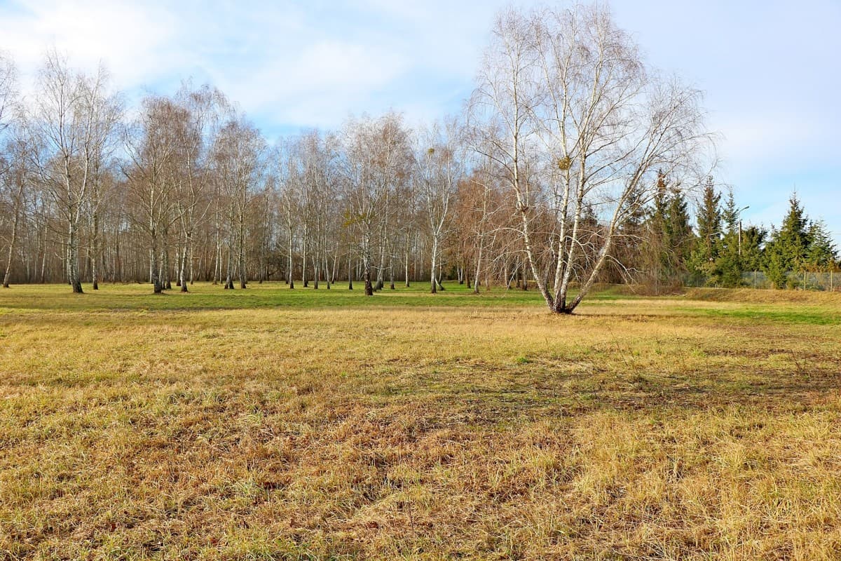 Продается участок для услуг и производства в Урсынуве – 1