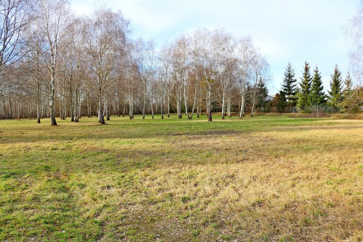 Продается участок для услуг и производства в Урсынуве – 7