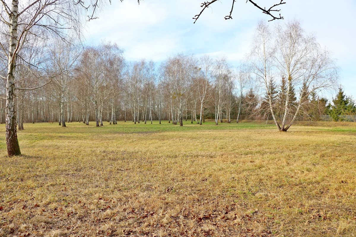 Продается участок для услуг и производства в Урсынуве – 9