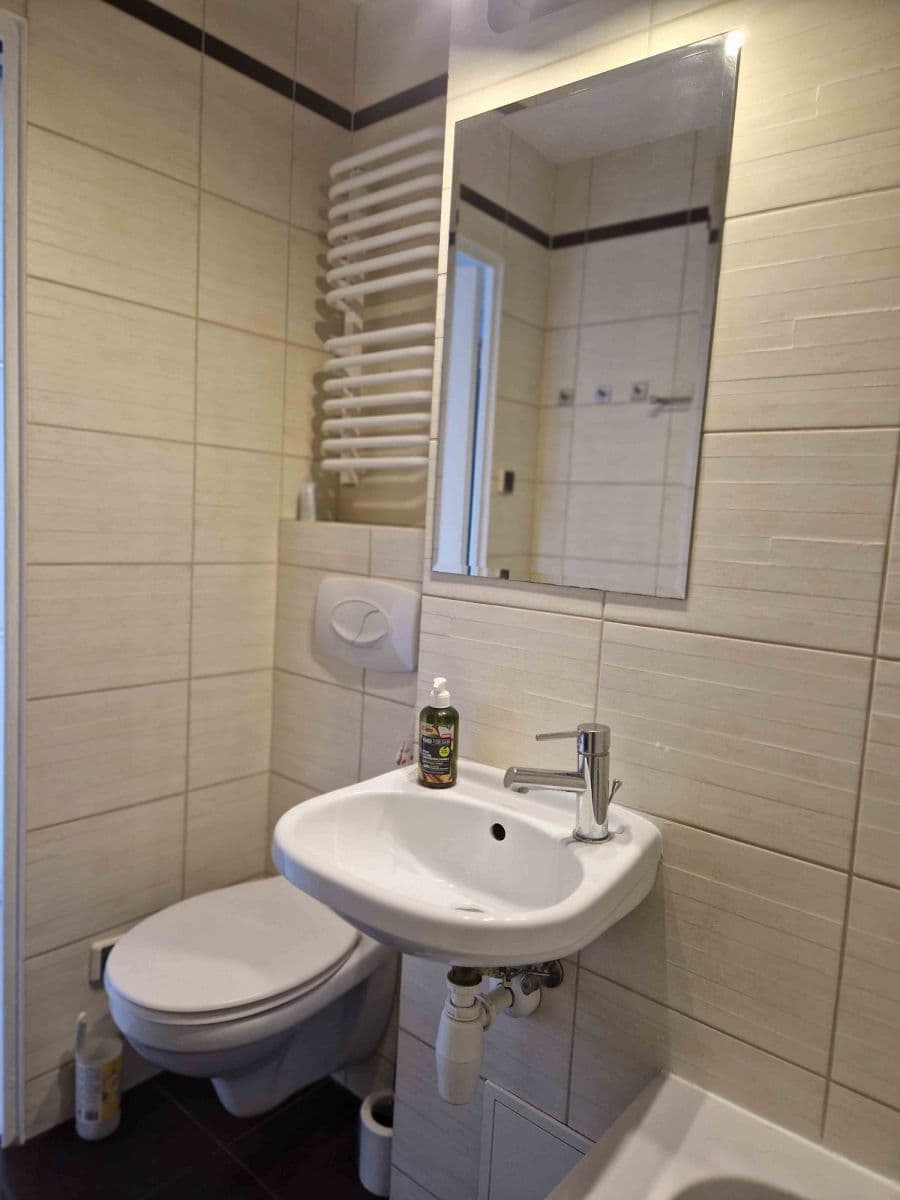 3-комнатная квартира в аренду рядом с метро Бемово – 13