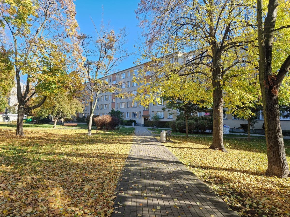 Квартира-студия после ремонта с парковкой – 14