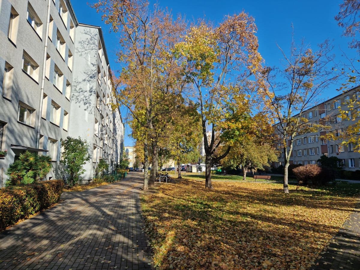 Квартира-студия после ремонта с парковкой – 15