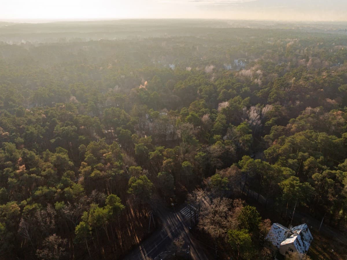 Уникальный земельный участок в сердце Констанцина – 3