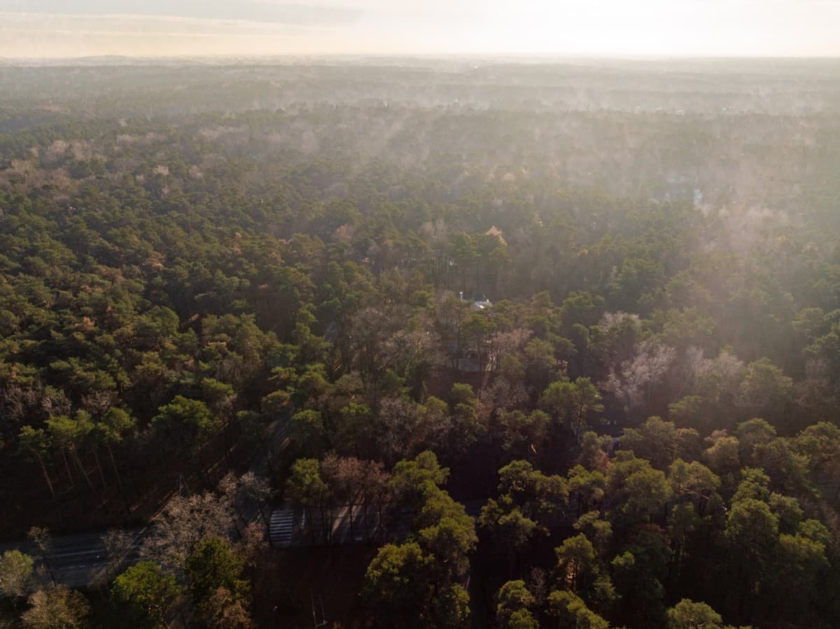 Уникальный земельный участок в сердце Констанцина – 4