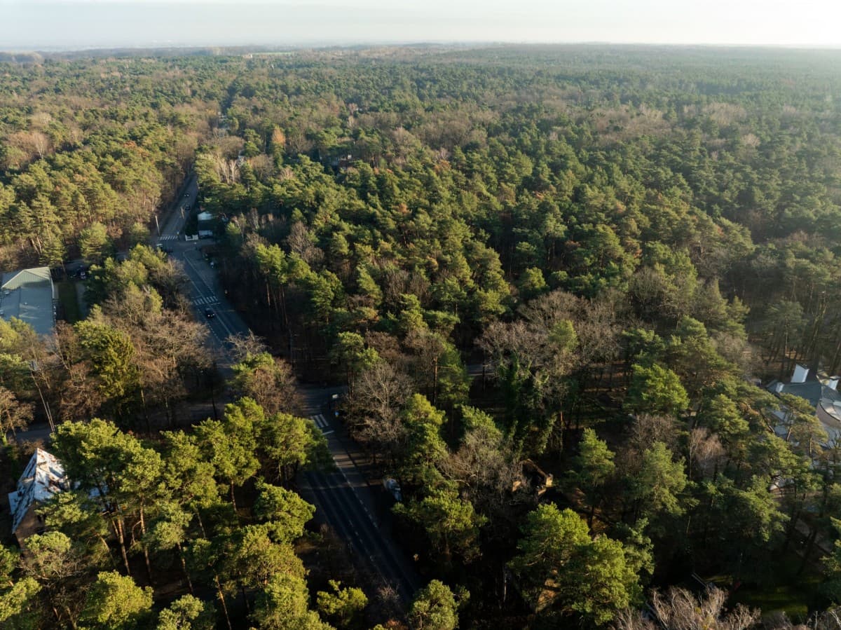 Уникальный земельный участок в сердце Констанцина – 7