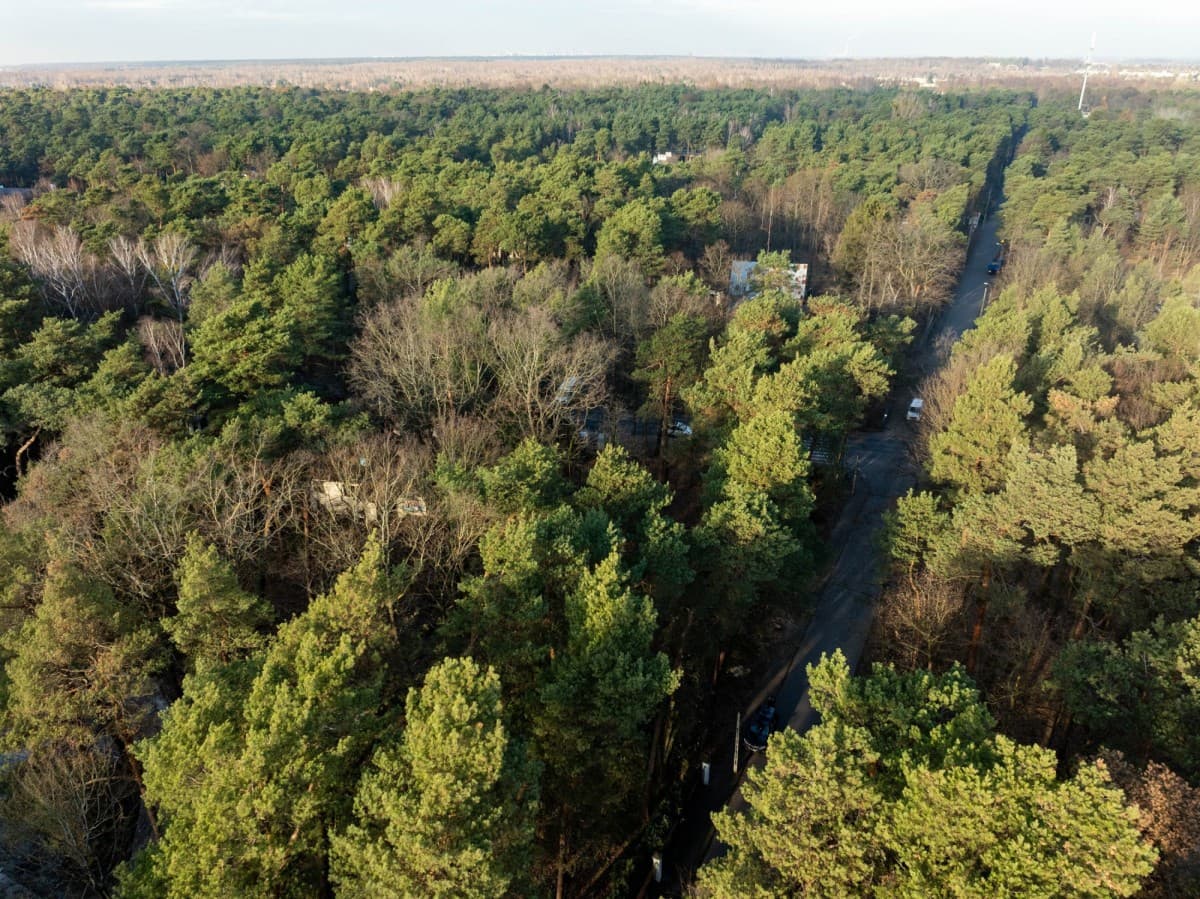 Уникальный земельный участок в сердце Констанцина – 10