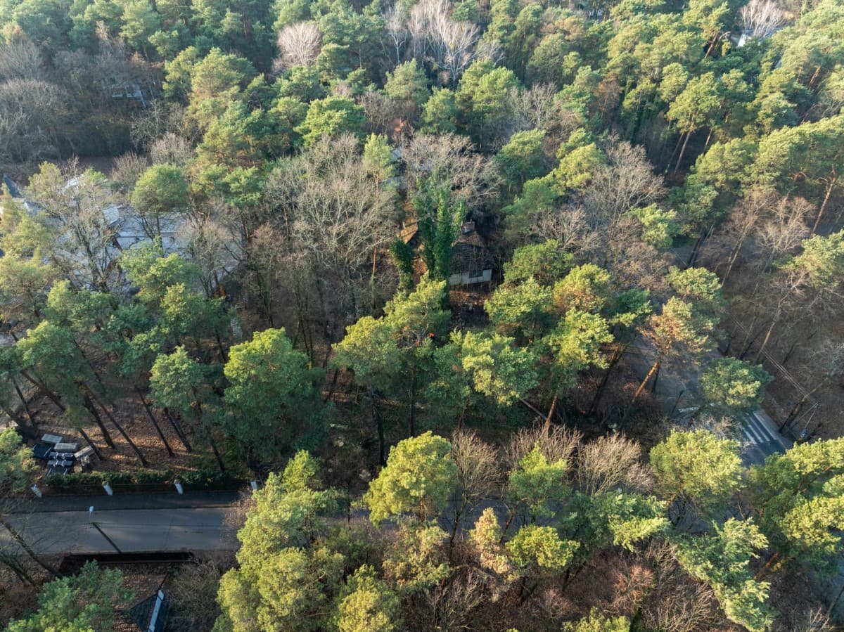 Уникальный земельный участок в сердце Констанцина – 12