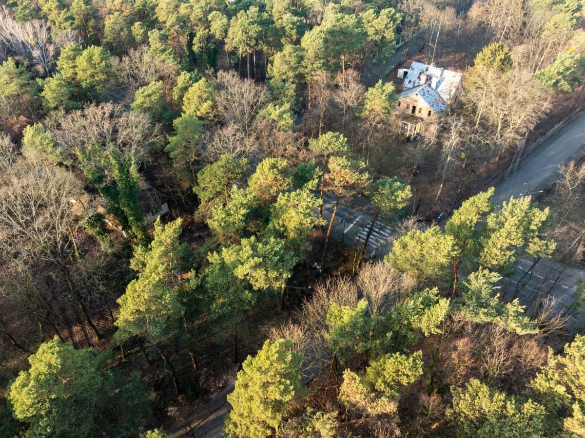 Уникальный земельный участок в сердце Констанцина – 13