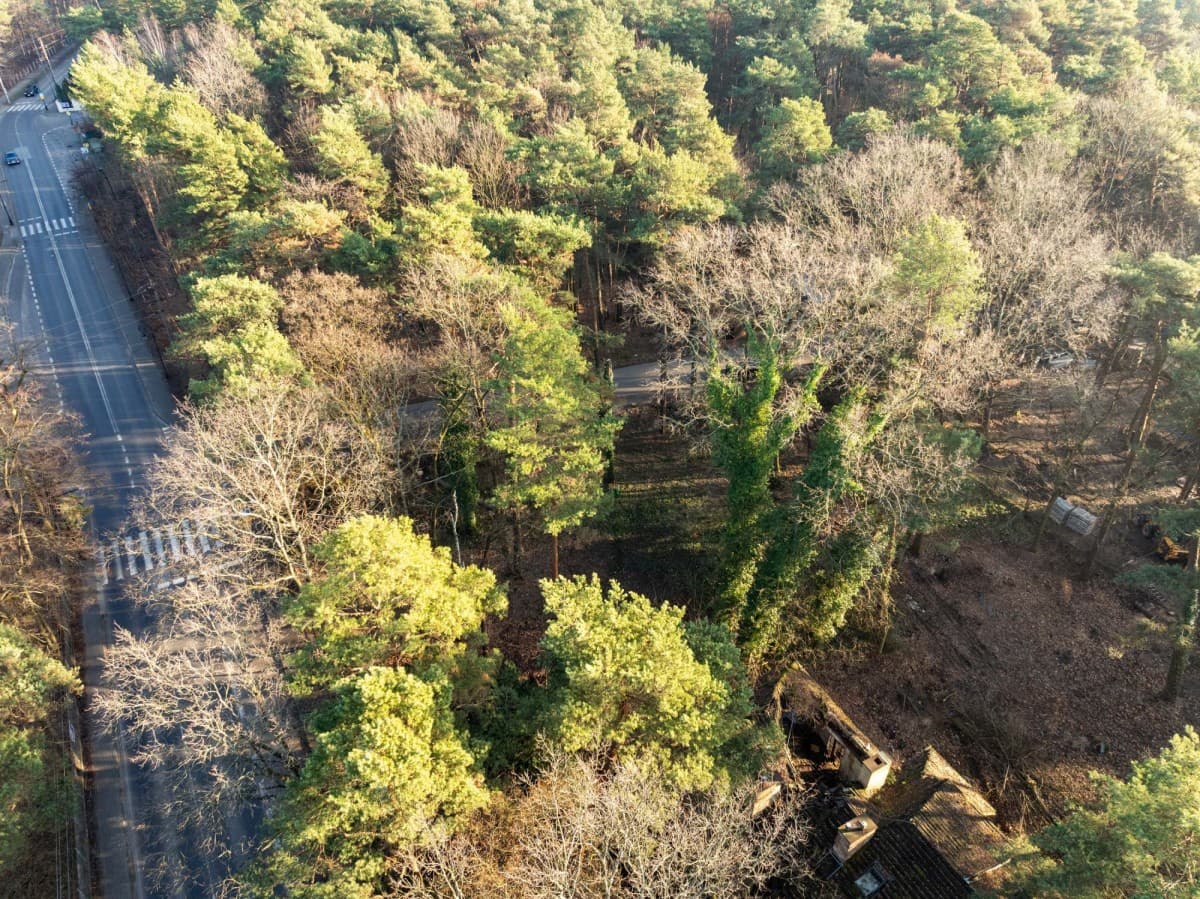 Уникальный земельный участок в сердце Констанцина – 14