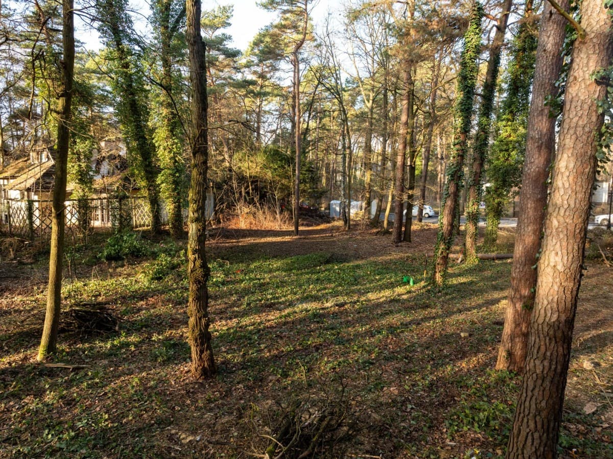 Уникальный земельный участок в сердце Констанцина – 17