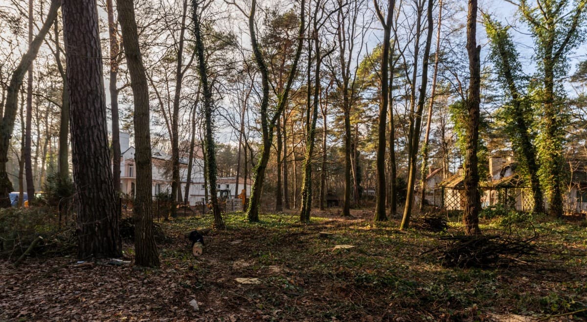 Уникальный земельный участок в сердце Констанцина – 19