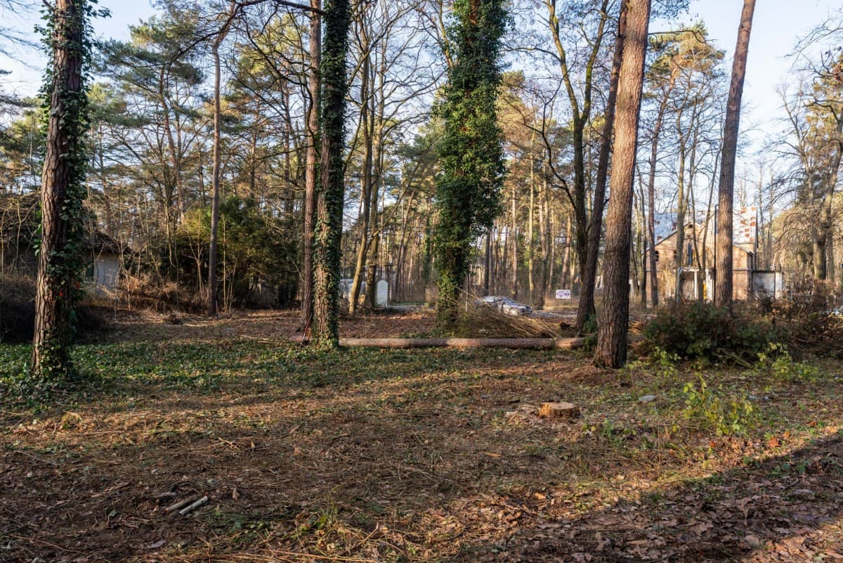 Уникальный земельный участок в сердце Констанцина – 20