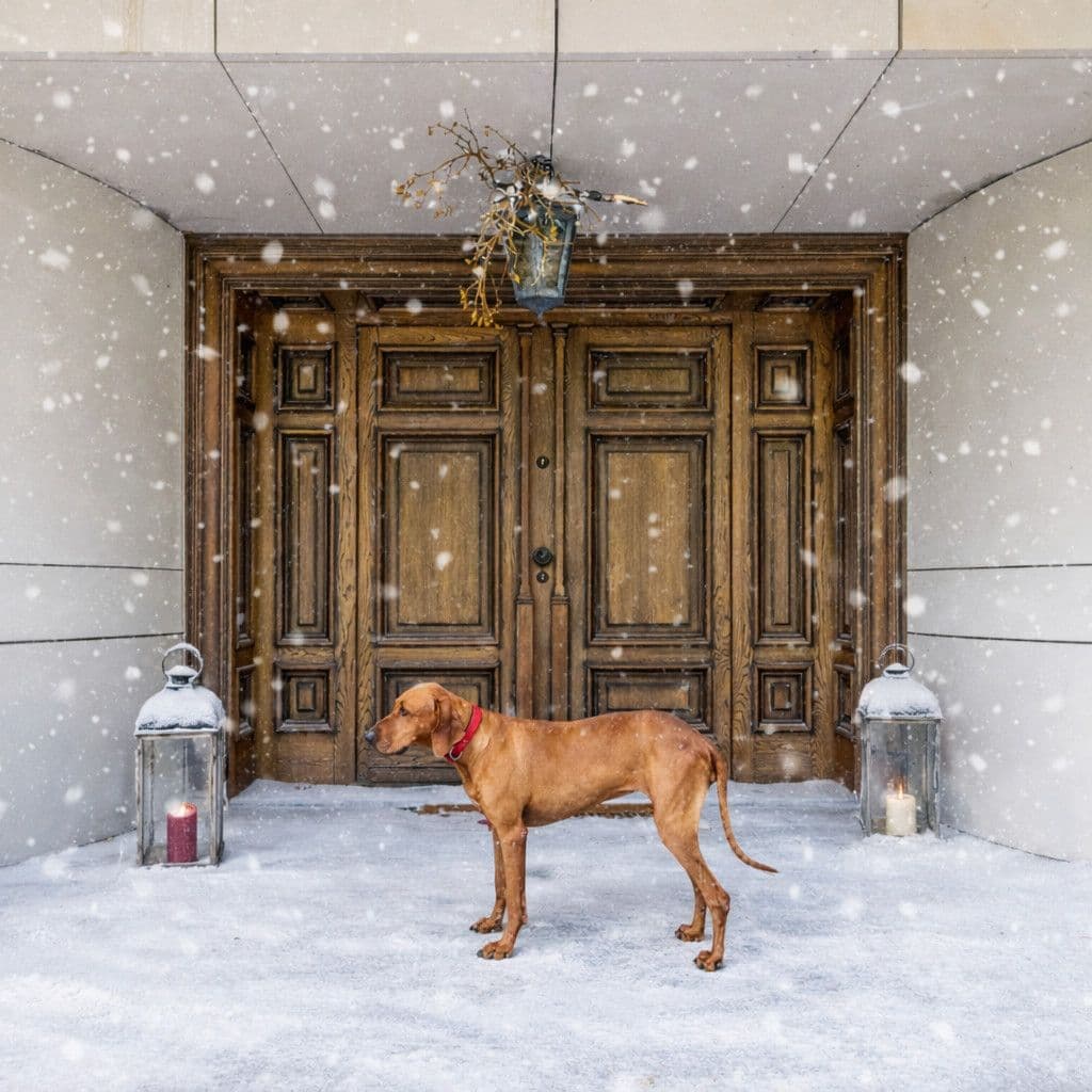 роскошная вилла с 5 спальнями в Констанцине – 1