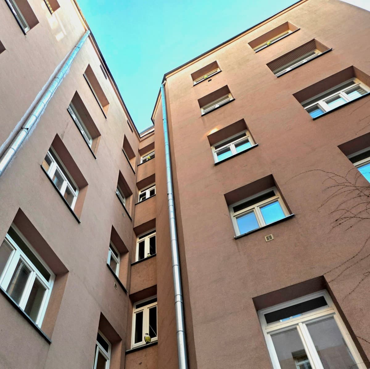 Attic space for adaptation with 240 m2 – 1