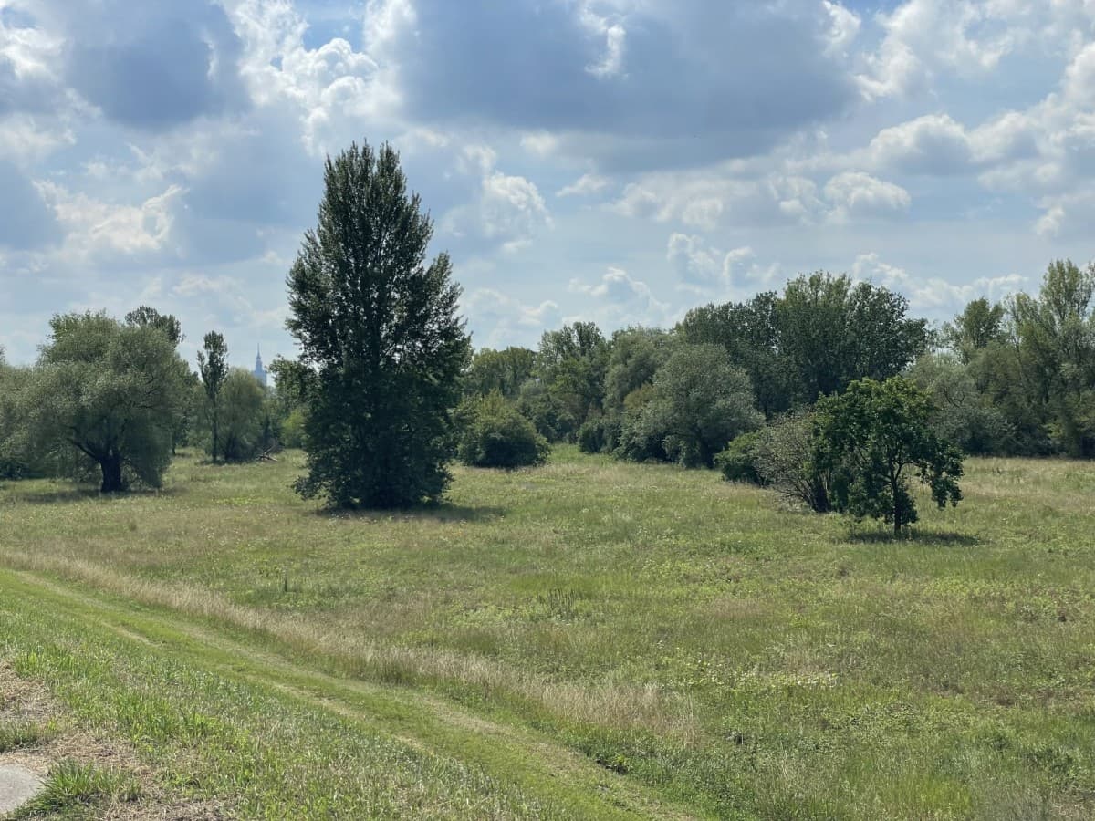 Two-bedroom apartment in Bulwary Praskie with green view – 13