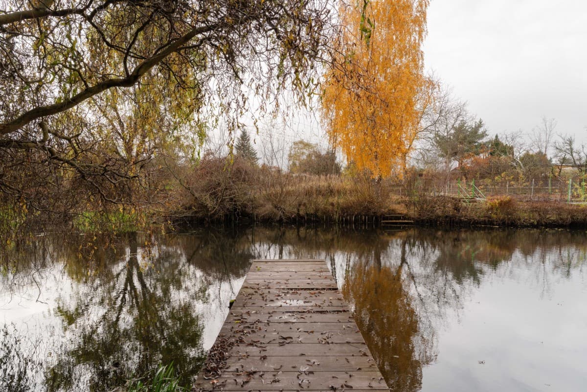 Spacious apartment with option for 4 rooms – 18