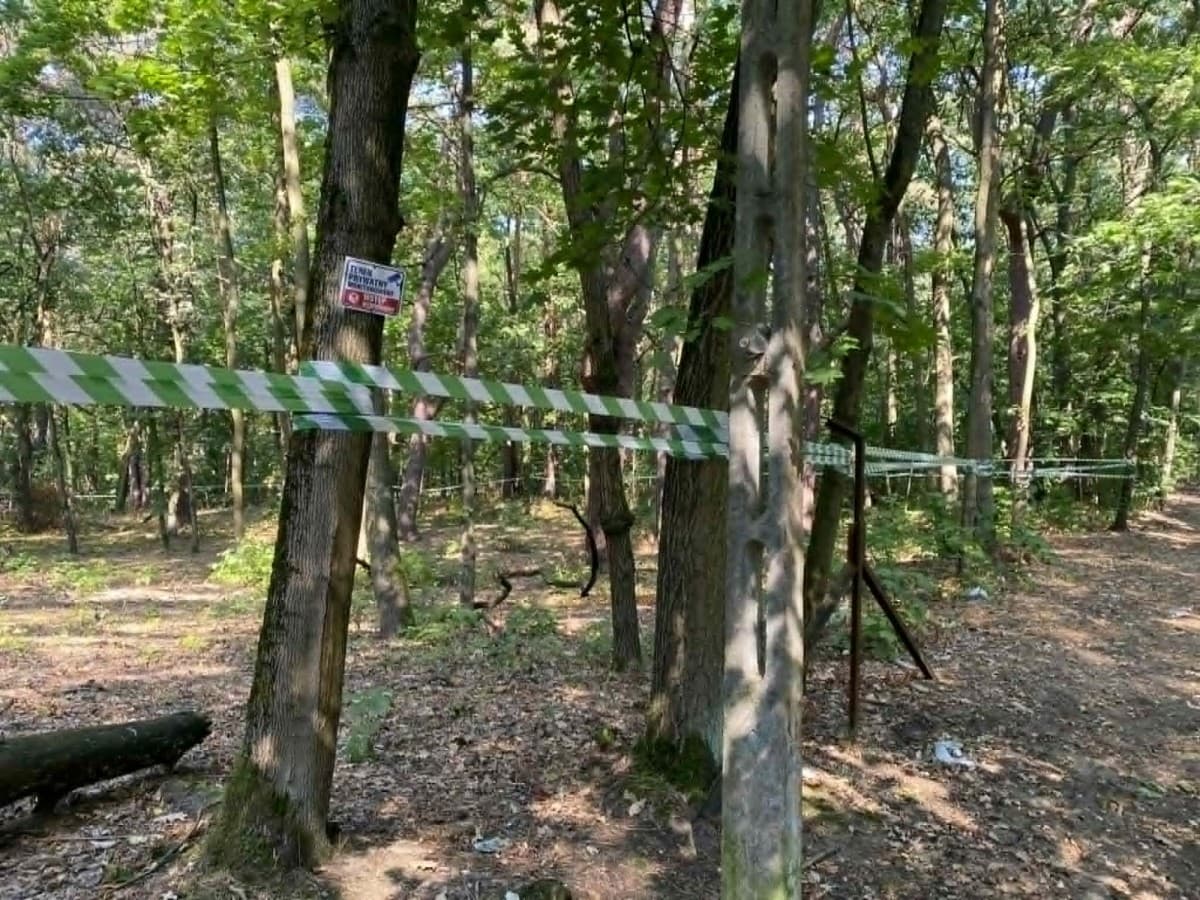 Large residential plot in prestigious Konstancin-Jeziorna – 2