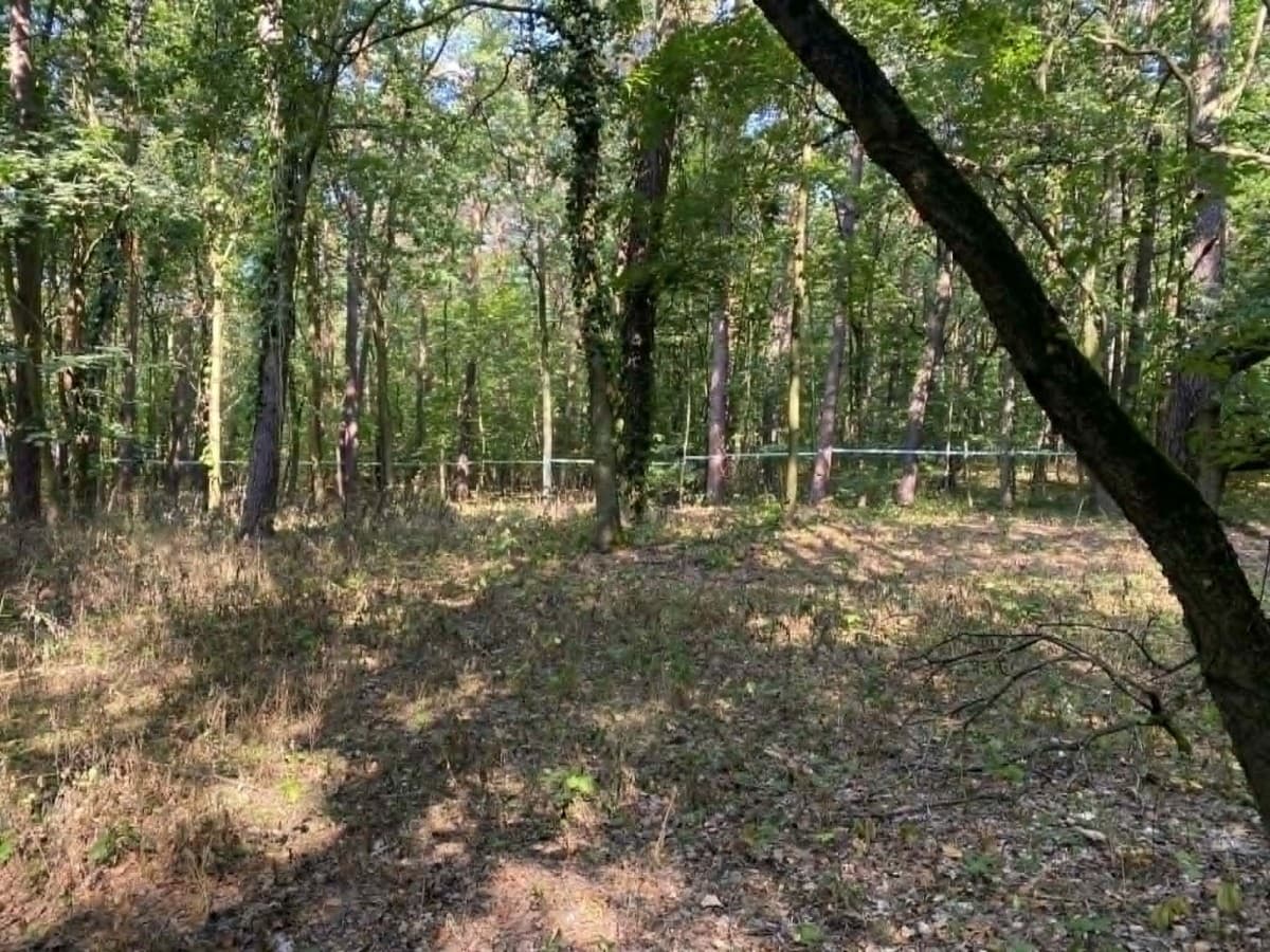 Large residential plot in prestigious Konstancin-Jeziorna – 5