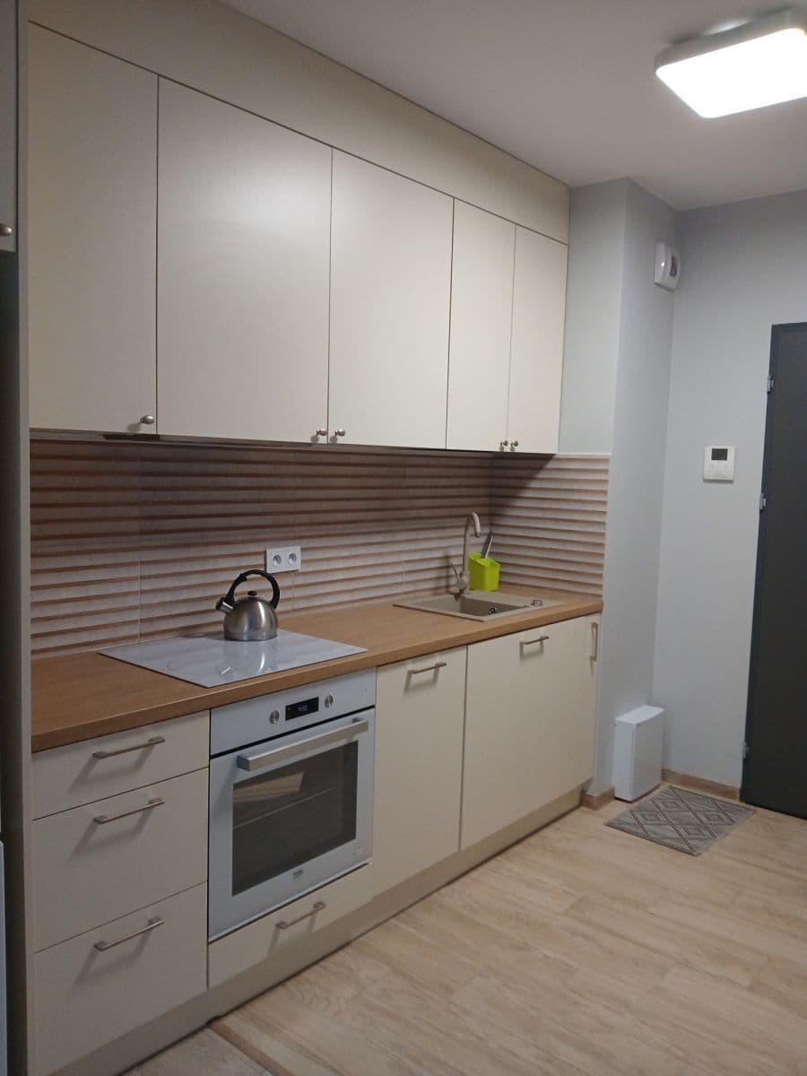 One-bedroom apartment with garage in trendy Praga – 1