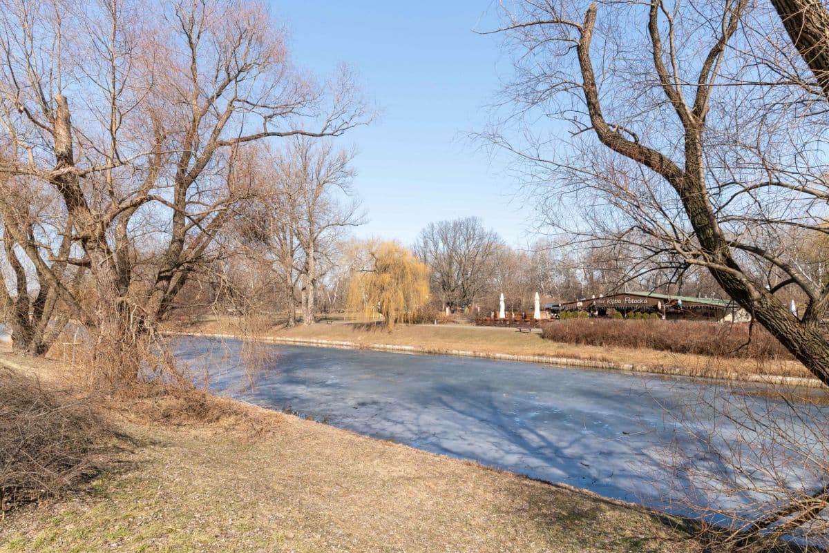 Two commercial spaces with high rental income potential – 19