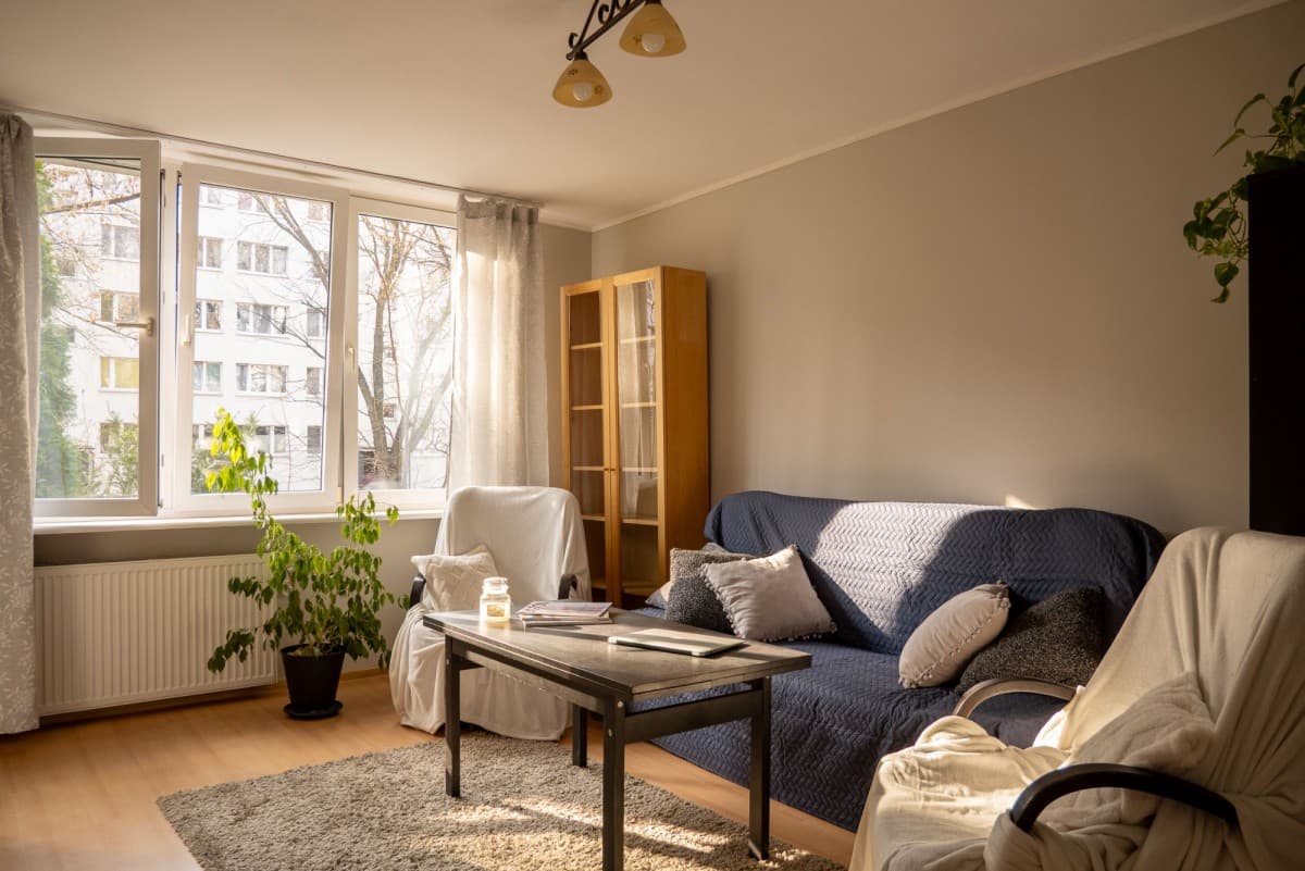 Pet-friendly studio available immediately in Niedźwiadek – 1