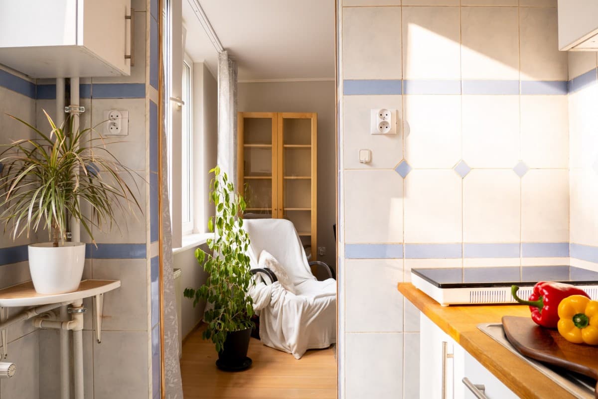 Pet-friendly studio available immediately in Niedźwiadek – 5