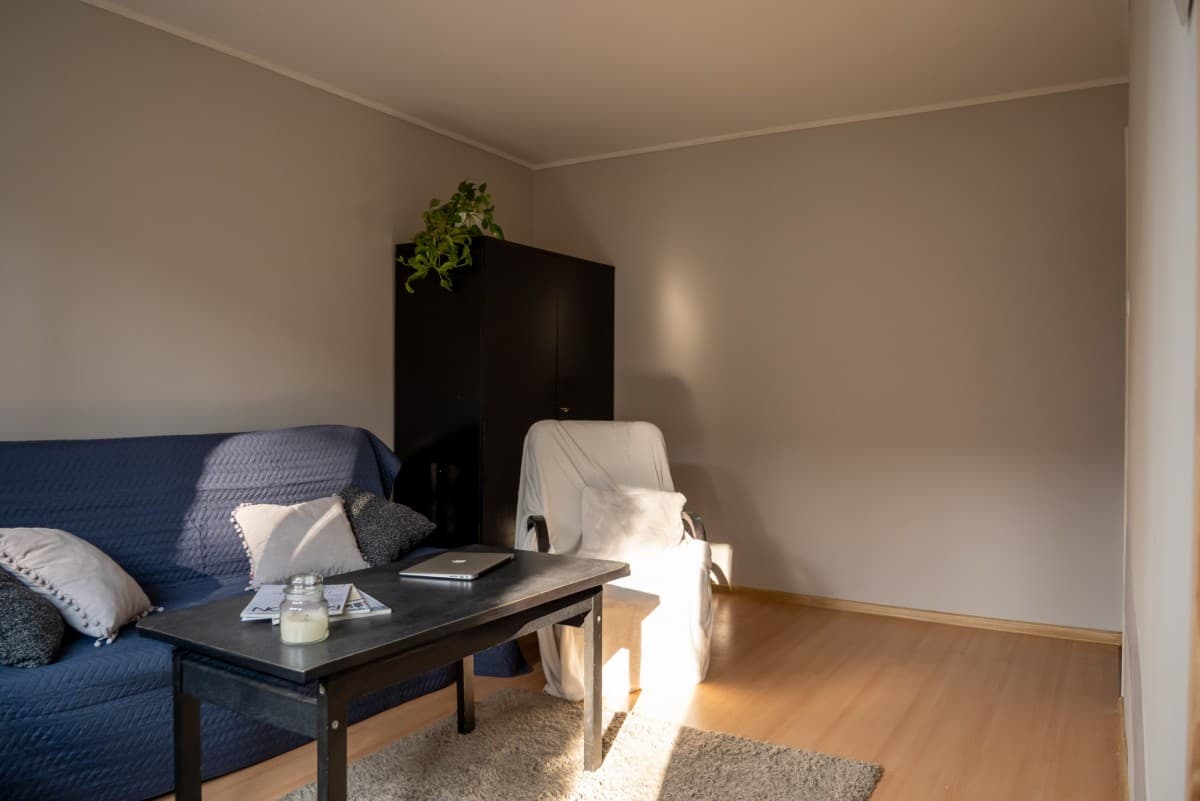 Pet-friendly studio available immediately in Niedźwiadek – 7