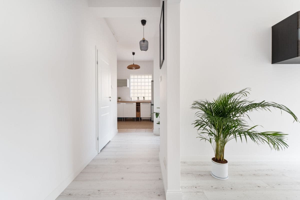 Spacious apartment with 81 sqm terrace near SWPS University – 1