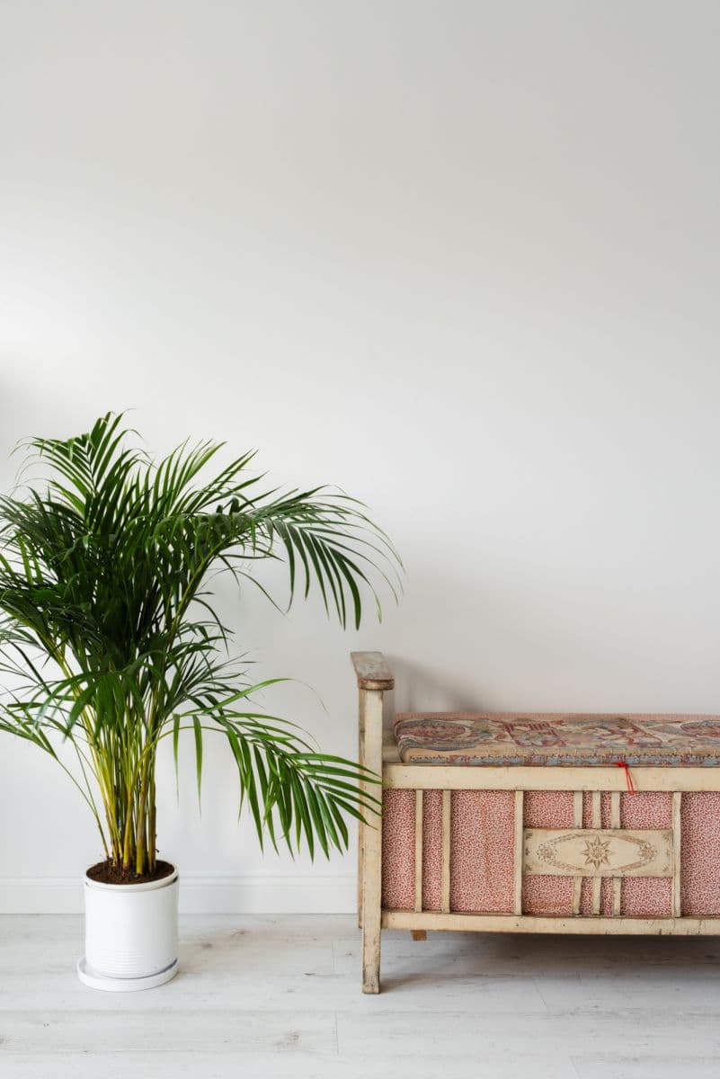 Spacious apartment with 81 sqm terrace near SWPS University – 4