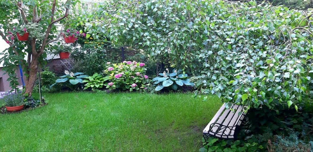 2-room apartment with exclusive garden space – 14