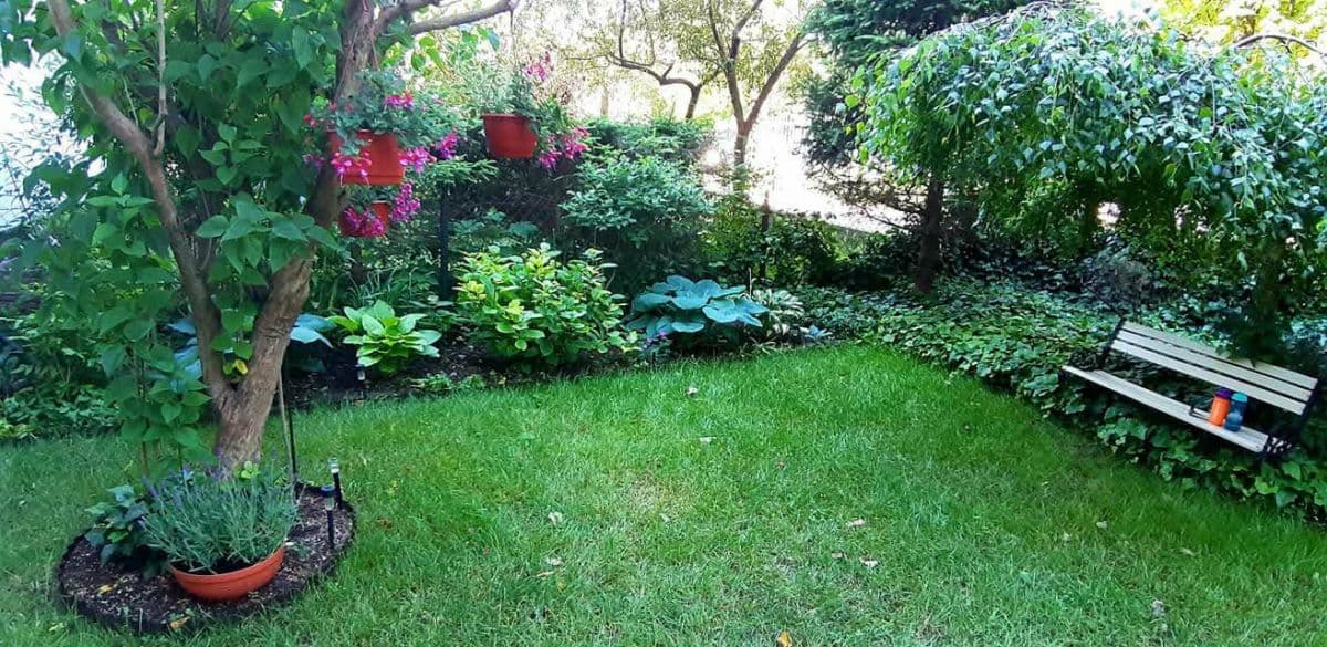 2-room apartment with exclusive garden space – 15