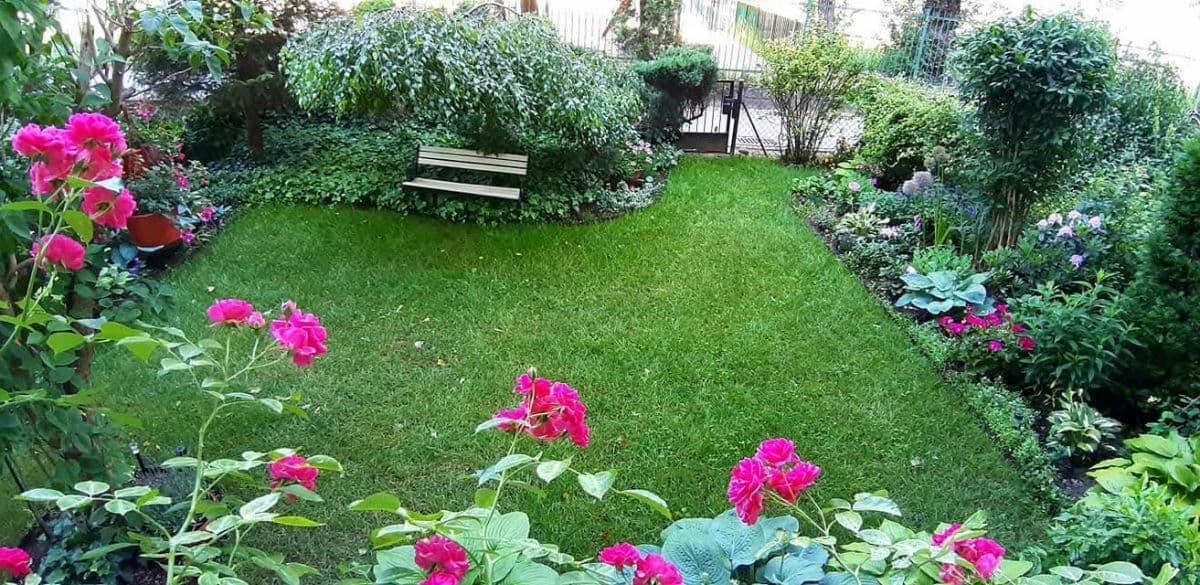 2-room apartment with exclusive garden space – 16