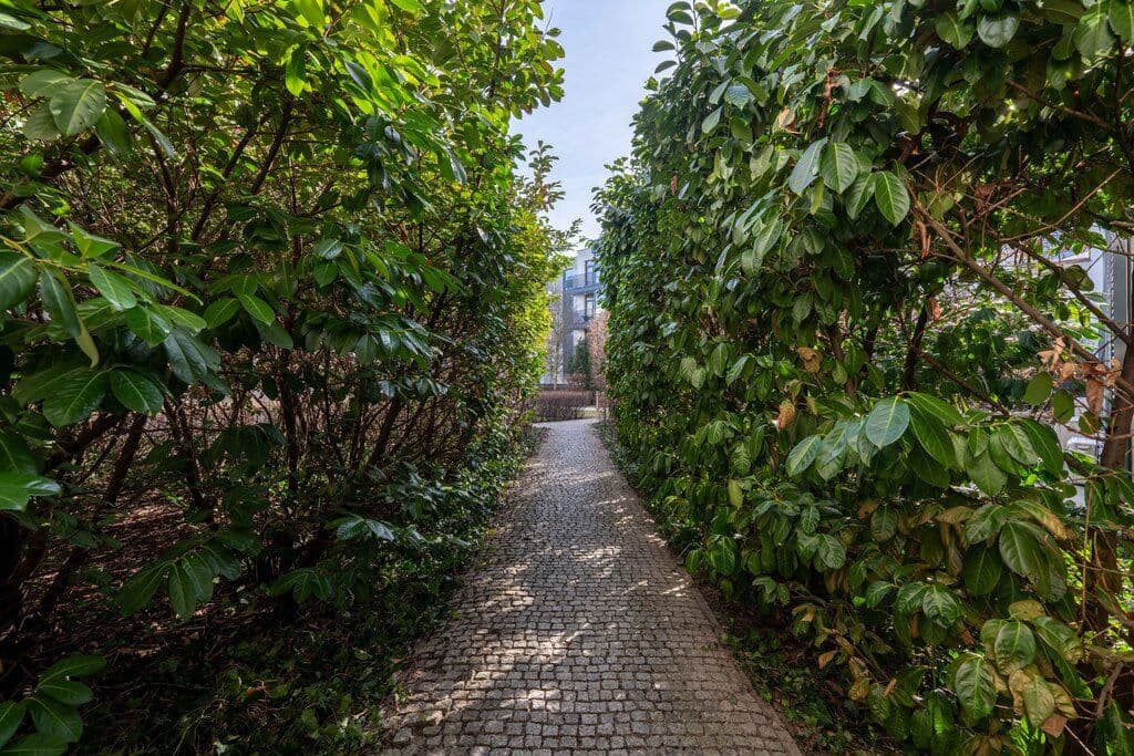 Spacious apartment with dual terraces in Wilanów – 23