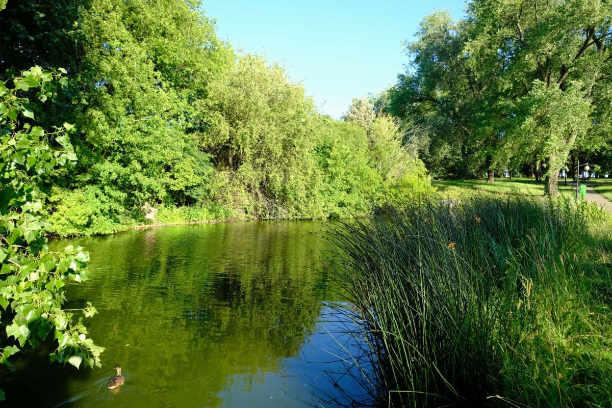 Sunny 2-room flat near Moczydło Park – 13