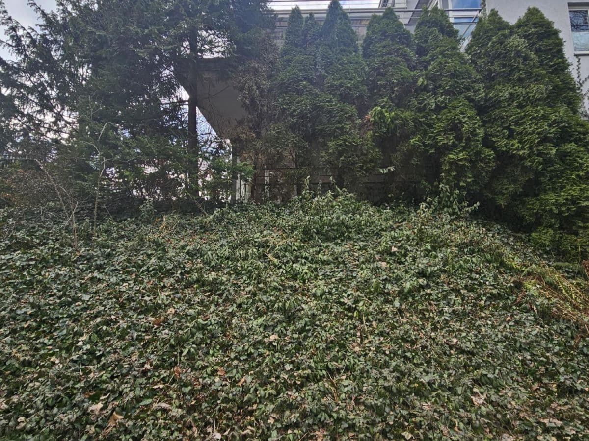 Spacious 4-room apartment with two terraces – 2