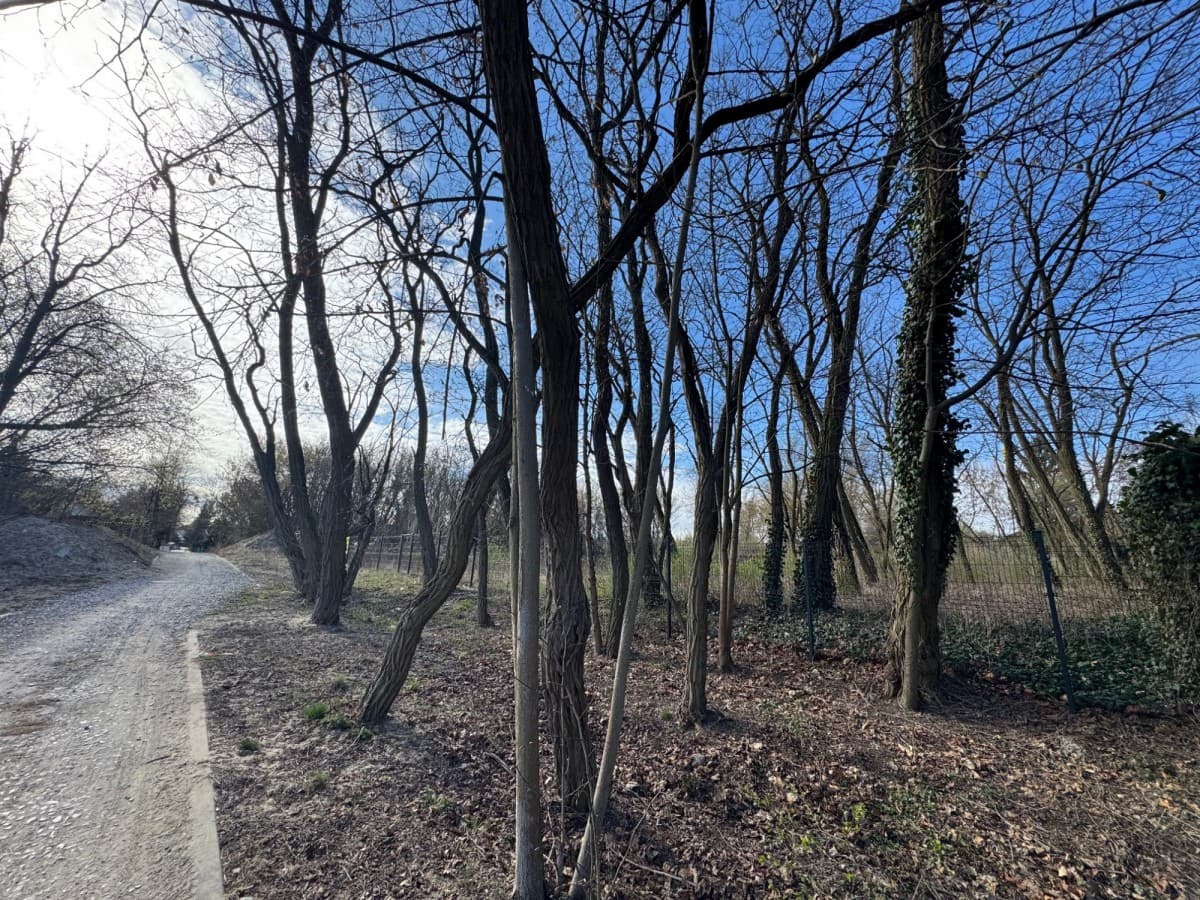 Beautiful plot near Młociński Park – 1