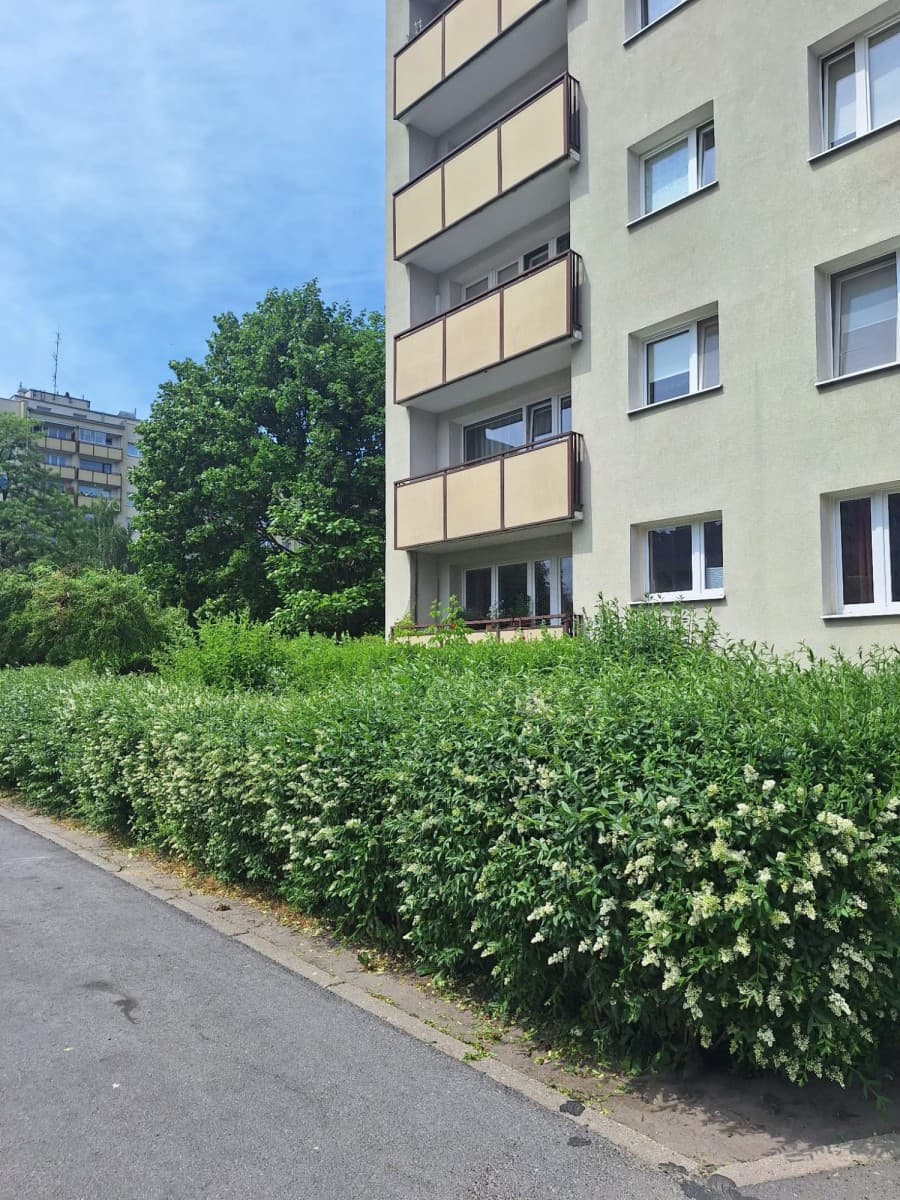 Spacious family-friendly apartment in Bemowo – 1