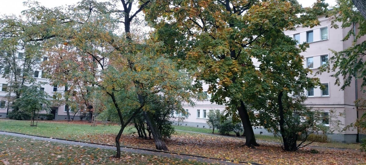 Przestronne 3 pokojowe mieszkanie przy Placu Hallera – 3