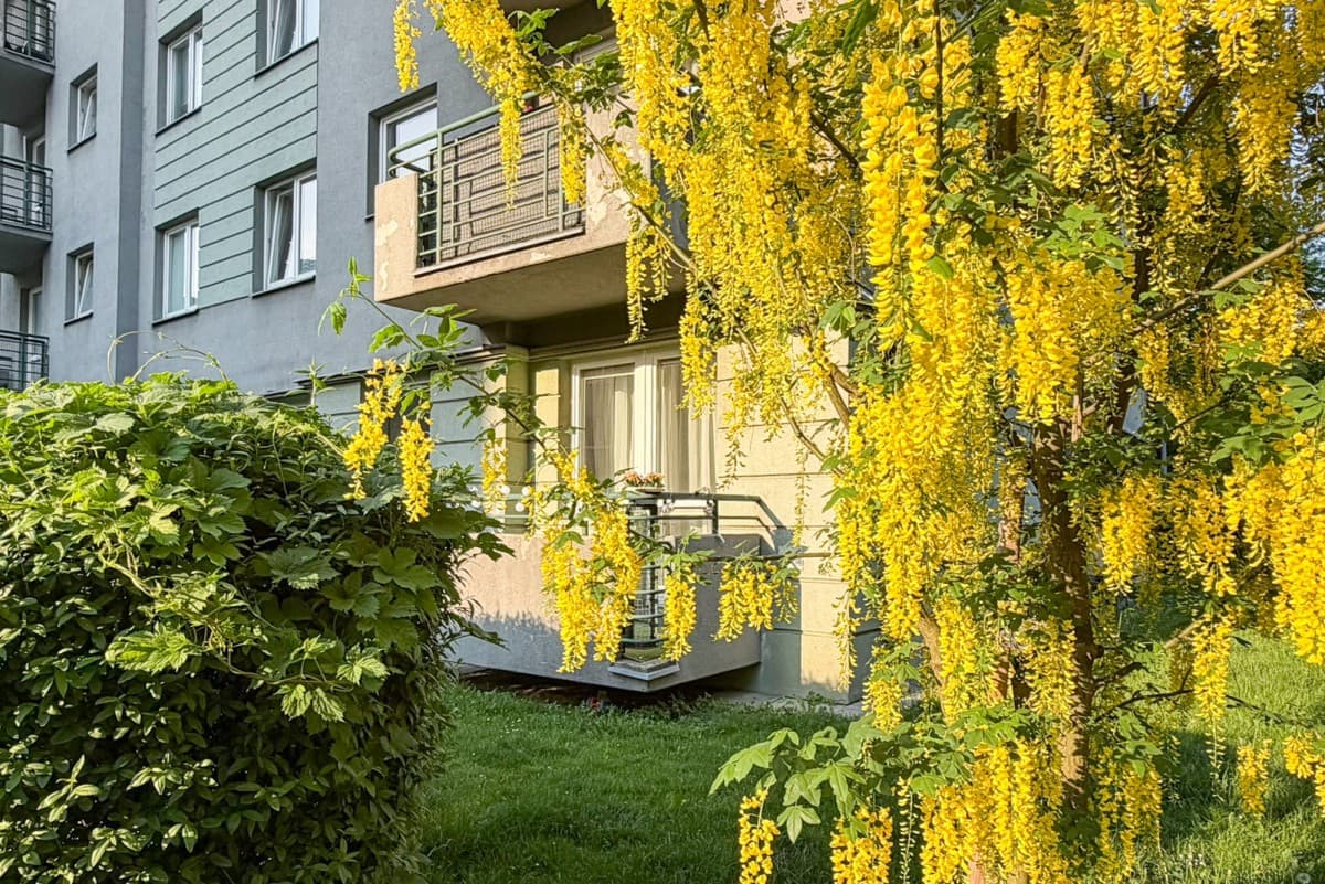 2-room apartment in green Mokotów, ideal for customization – 22