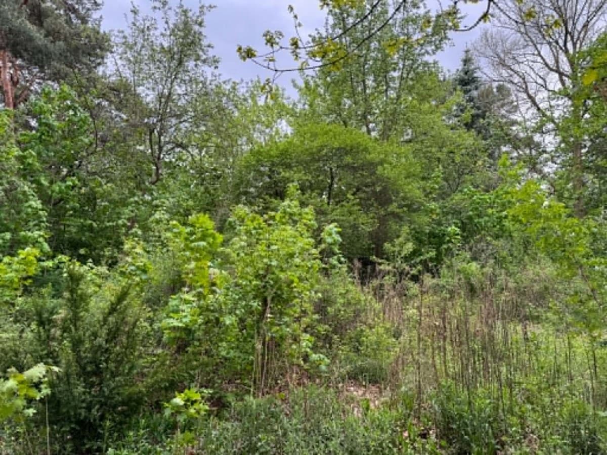 Spacious plot in prestigious Wawer neighborhood – 3