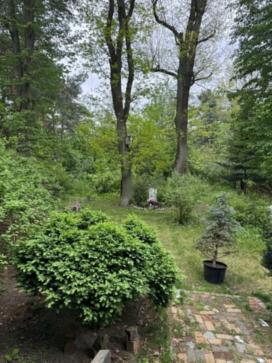 Spacious plot in prestigious Wawer neighborhood – 28