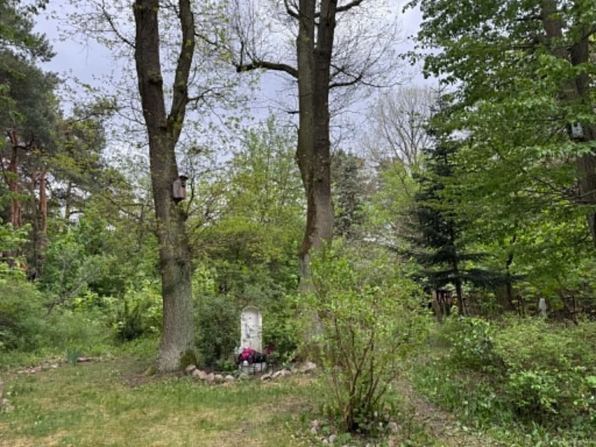 Spacious plot in prestigious Wawer neighborhood – 31