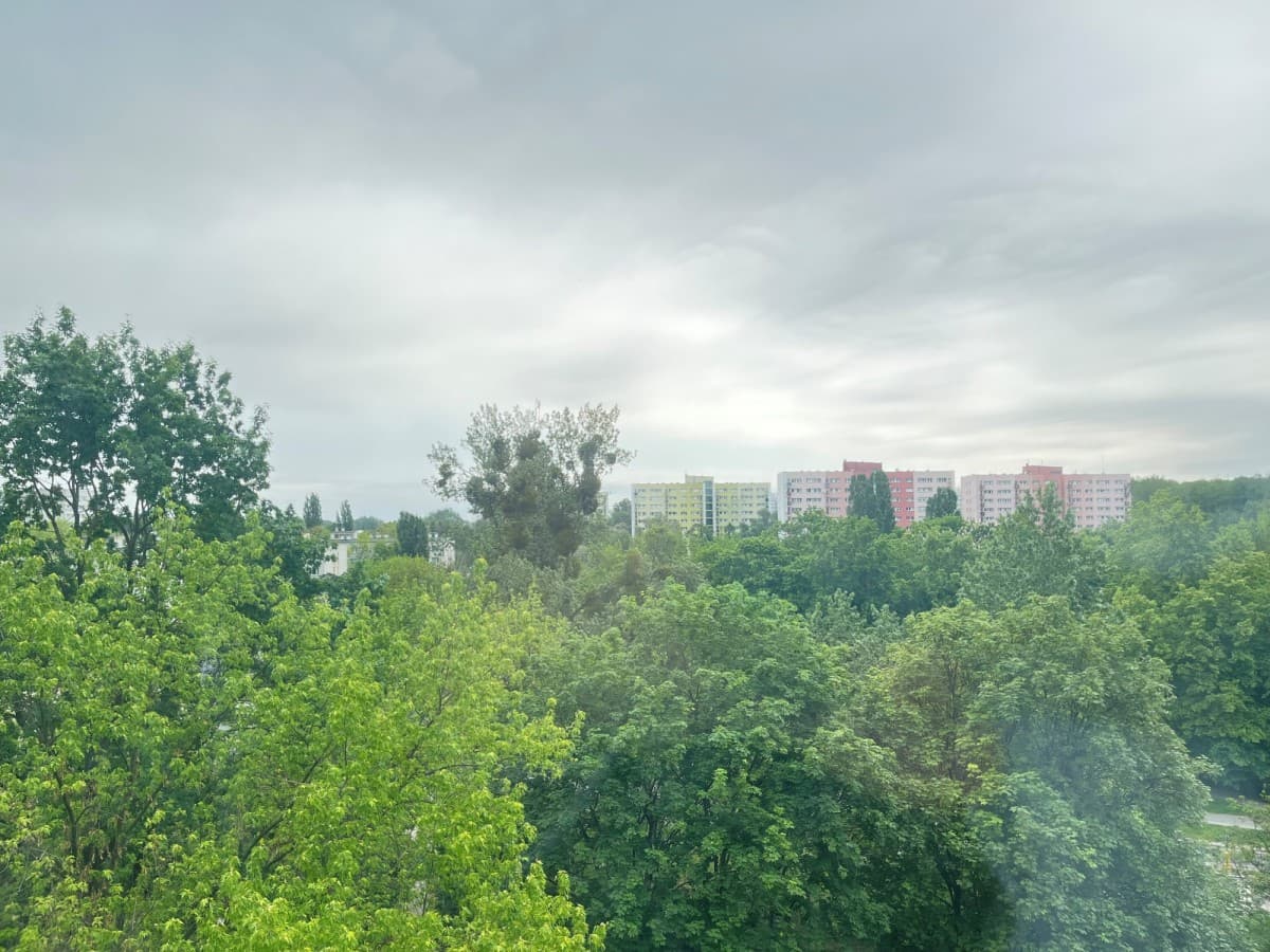 Stylish studio with park views and modern amenities – 9