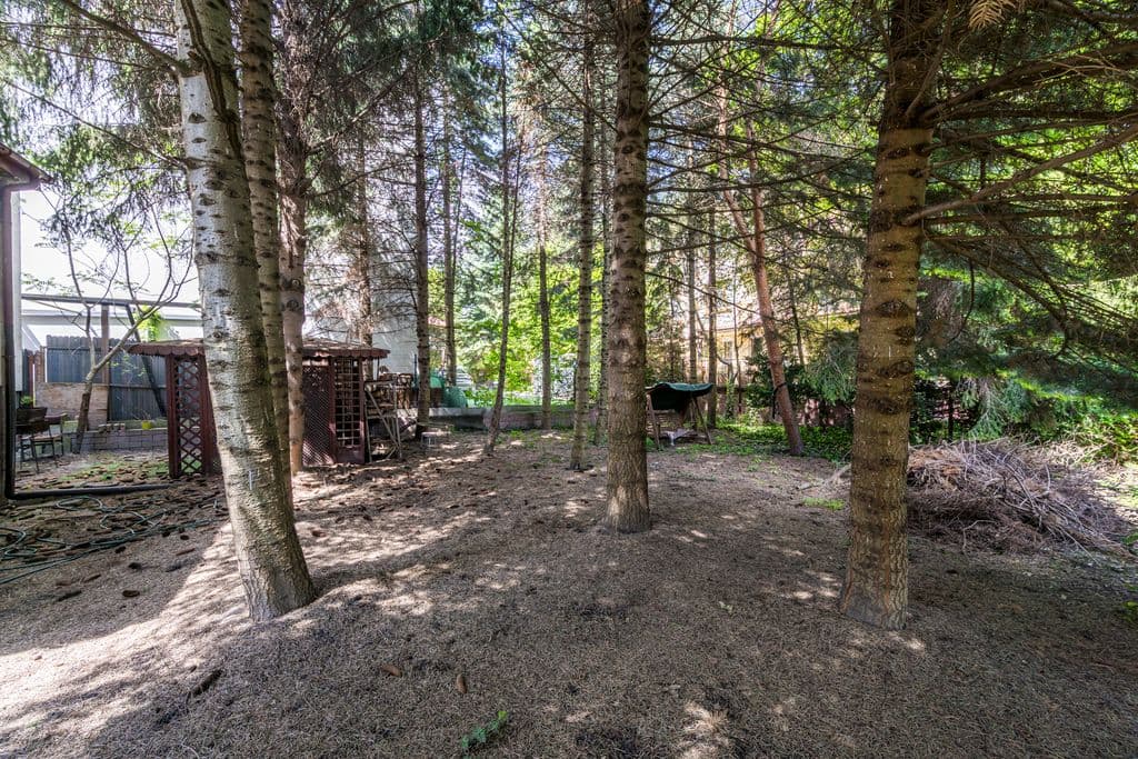 Przestronny dom 280m² w zielonej okolicy – 12