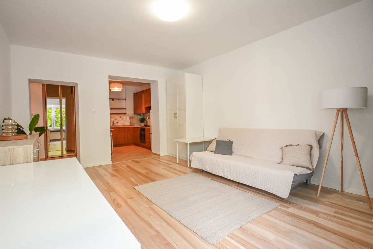 Spacious one-bedroom apartment with separate wardrobe – 3