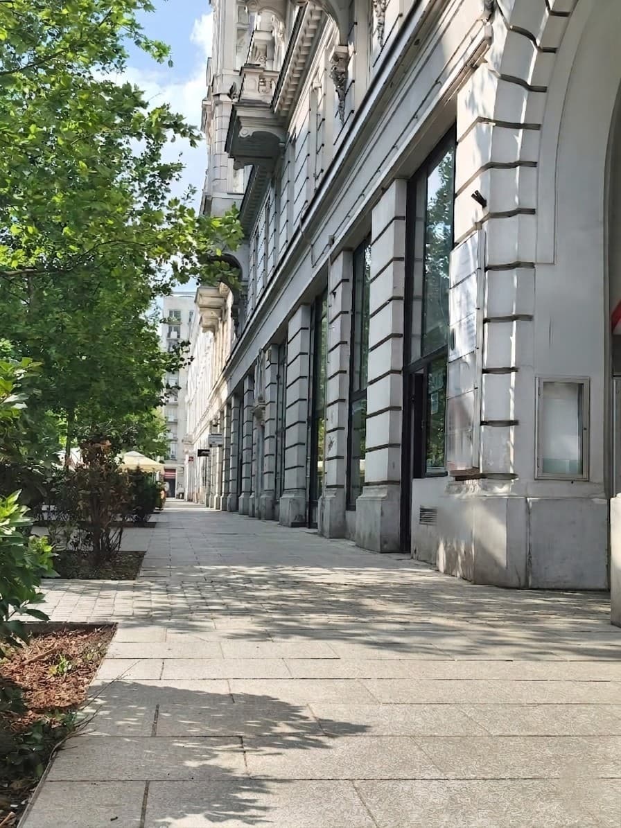 Zyskowna przestrzeń usługowo-handlowa w centrum – 2