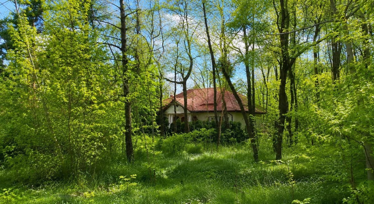 Building plot in green Choszczówka, ideal for your dream home – 1